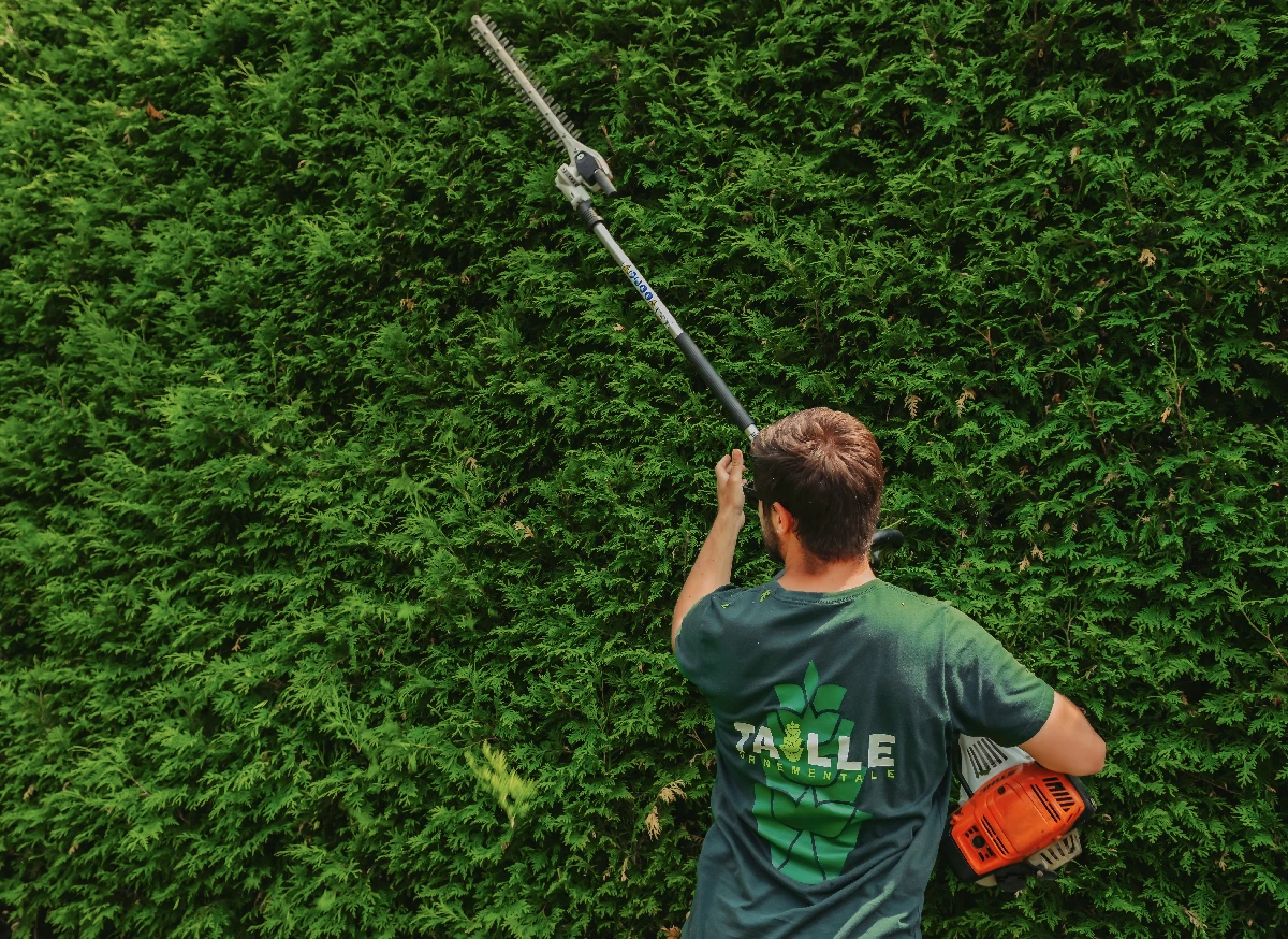 Experts en taille de haie à Saint-Hubert – Rive-Sud de Montréal